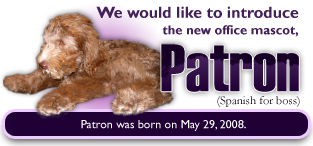 Our Mascot - Patron